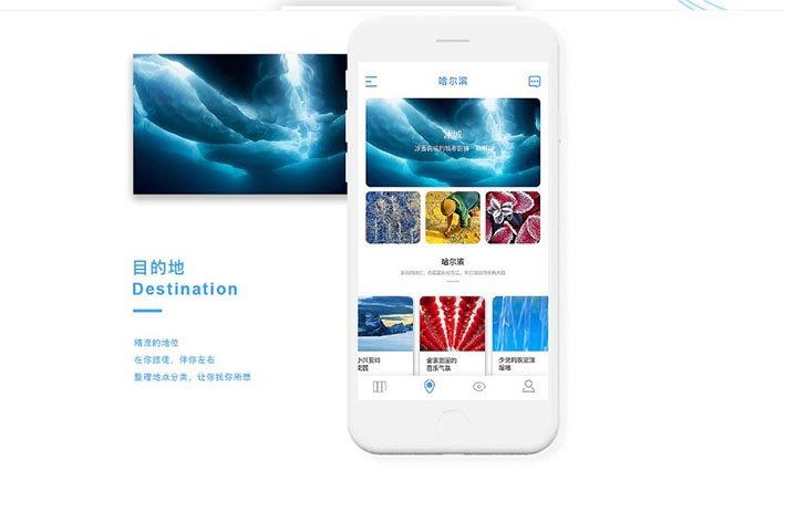APP开发服务方案