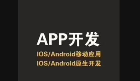 米么信息APP开发公司