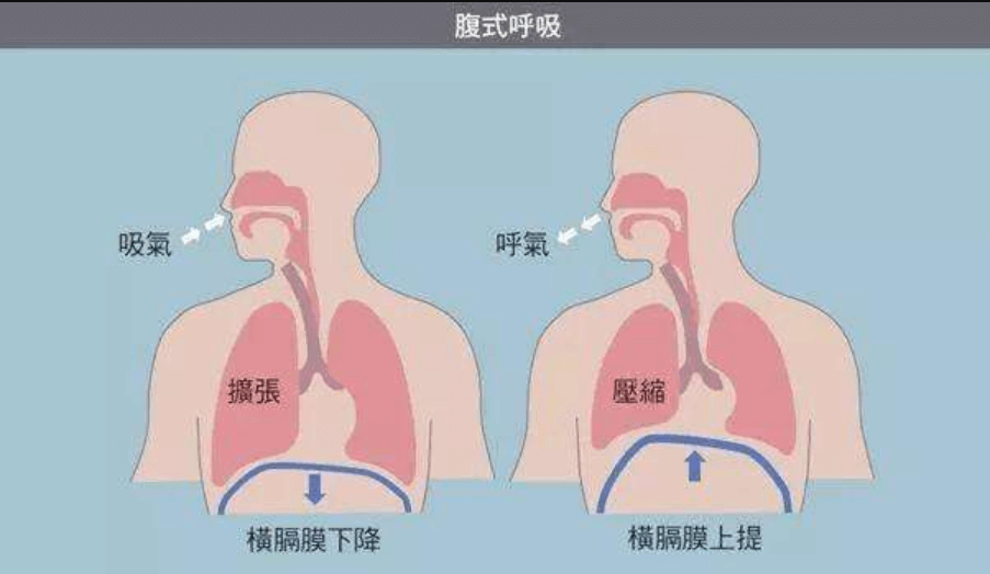 运动健身APP开发公司哪家好？